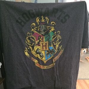 Harry Potter Dark Gray Tee, Size Xl